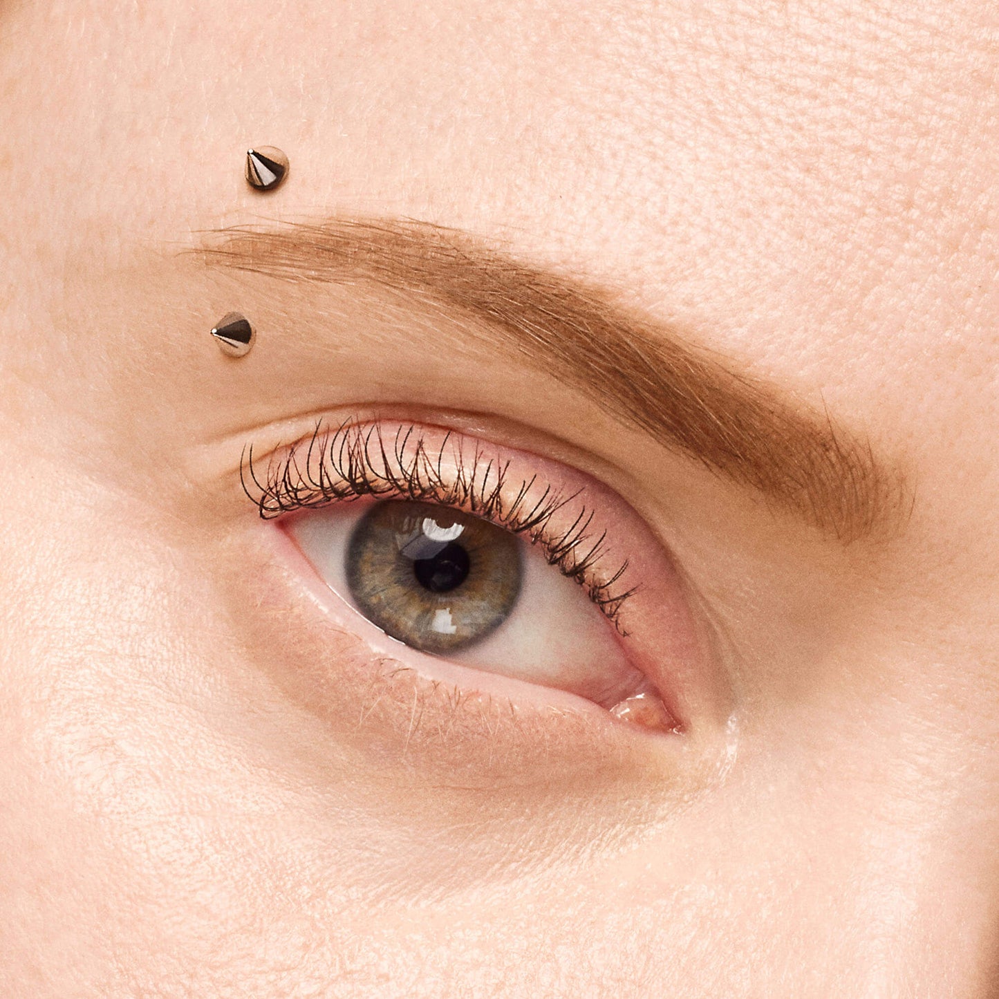 Over-Arching Brow Kit