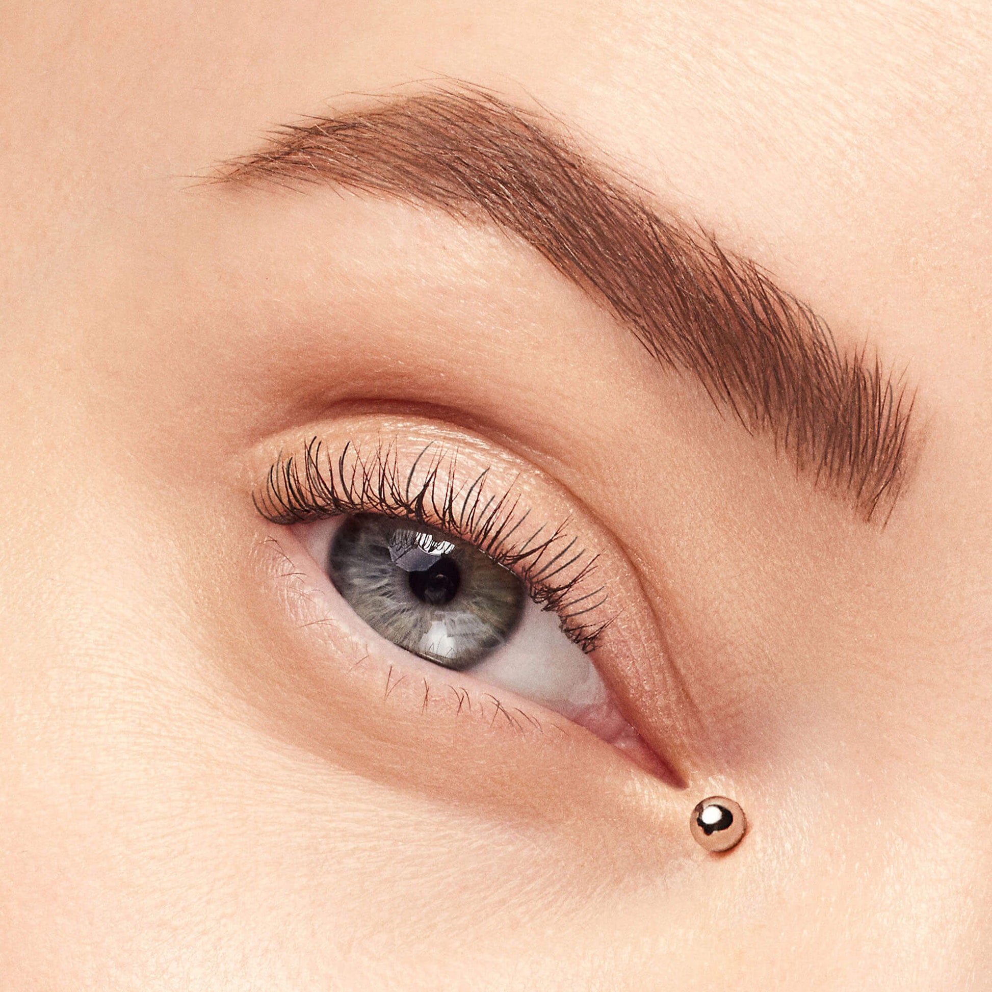 Over-Arching Brow Kit